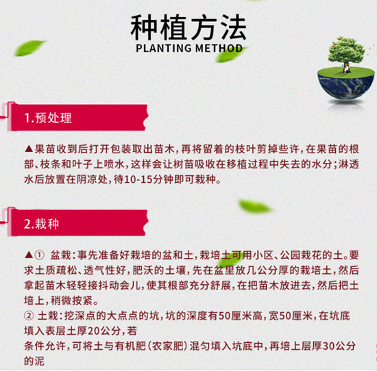 浙江適合種植三紅蜜柚果苗丨浙江三紅柚子苗就找平和正達(dá)蜜柚苗場購買